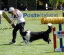 Sean in azione