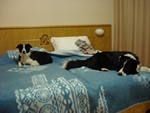 Marsha e Sean in albergo
