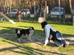 siox e danila