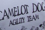 logo Camelot