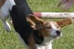 Oliver